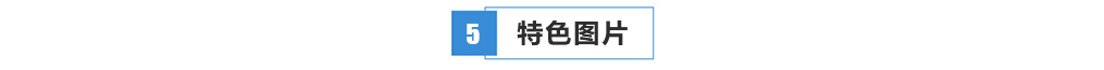 信息工程学院 信息工程学院
