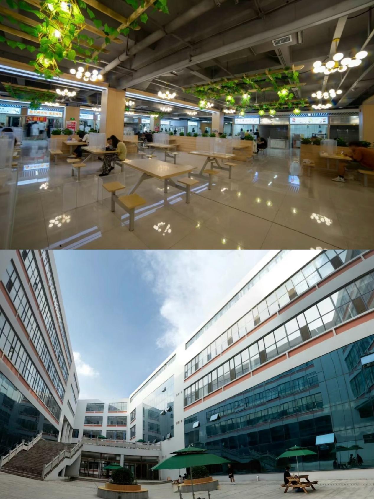 我校获评“山东省绿色学校”称号 我校获评“山东省绿色学校”称号